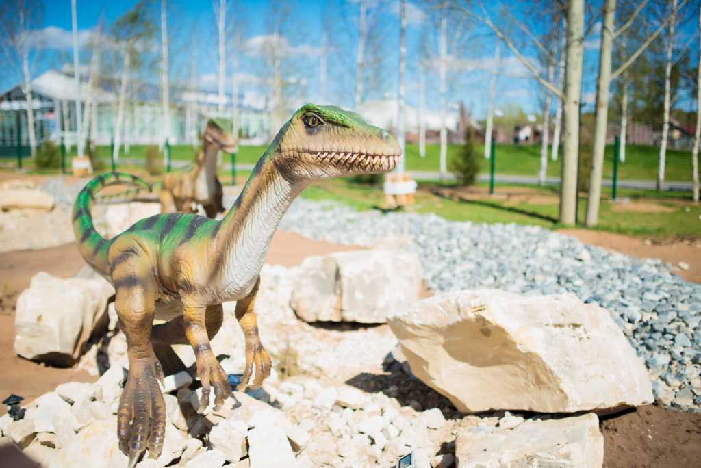 Парк динозавров в башкирии: подробное описание, адрес, фото, отзывы