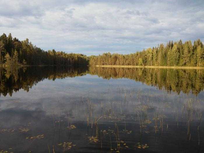 Озеро велье, новгородская область. рыбалка, отдых, базы, отели рядом, фото, видео, как добраться, отзывы — туристер.ру