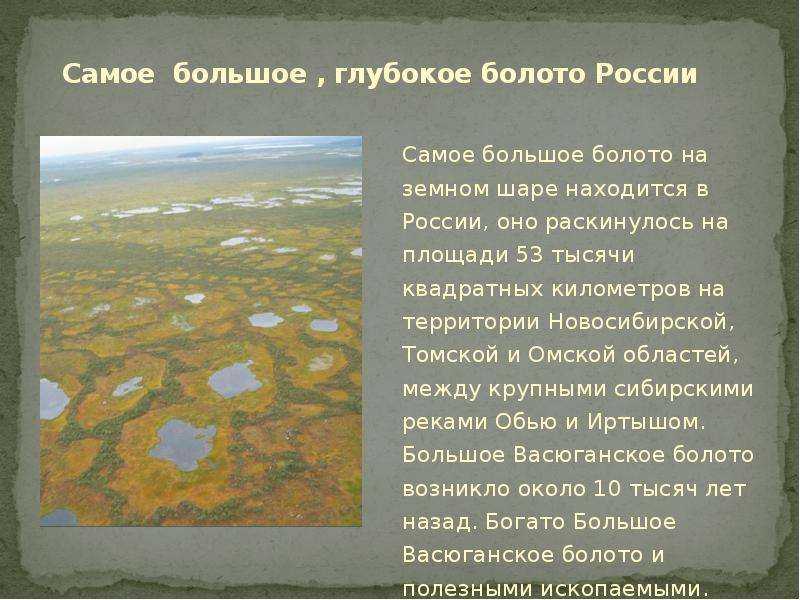 Самое большое болото в мире - васюганское болото, экологические проблемы, угрожающие данному региону, и возможные пути их решения