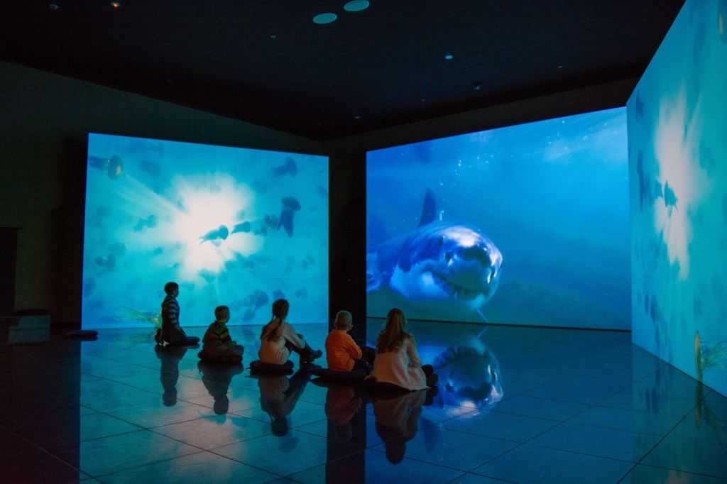 Экскурсия для школьников с посещением музея «мир воды санкт-петербурга»