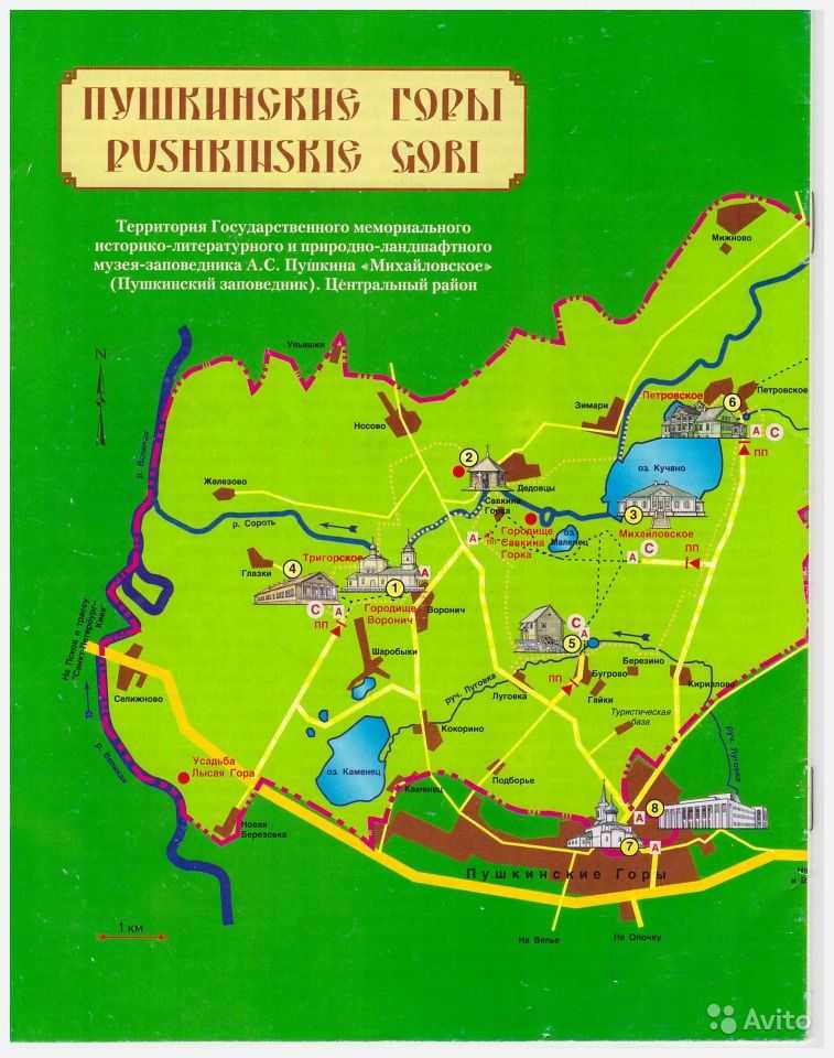 Пушкинские горы: 8 фактов, которые нас впечатлили