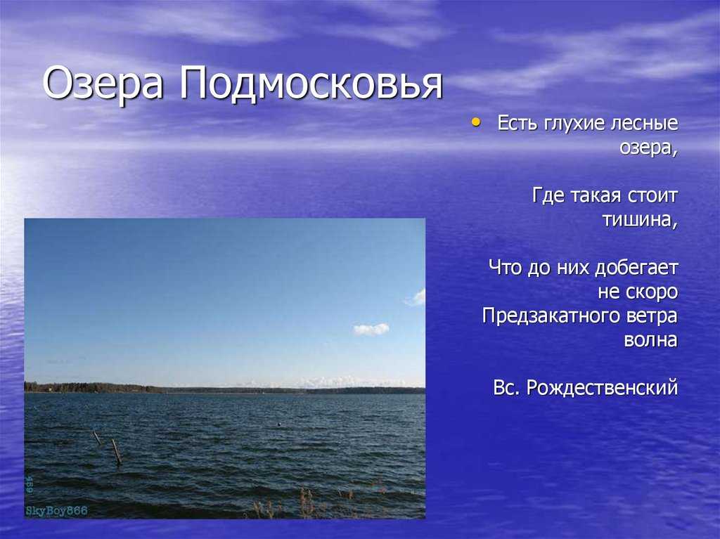 Озеро сенеж, россия — подробная информация с фото