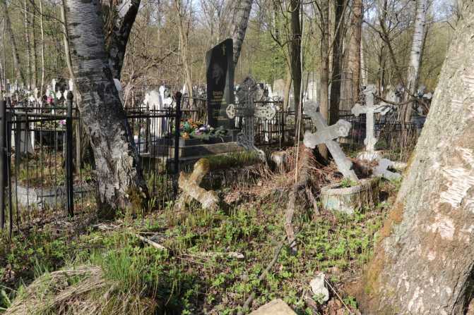 Кладбища санкт-петербурга