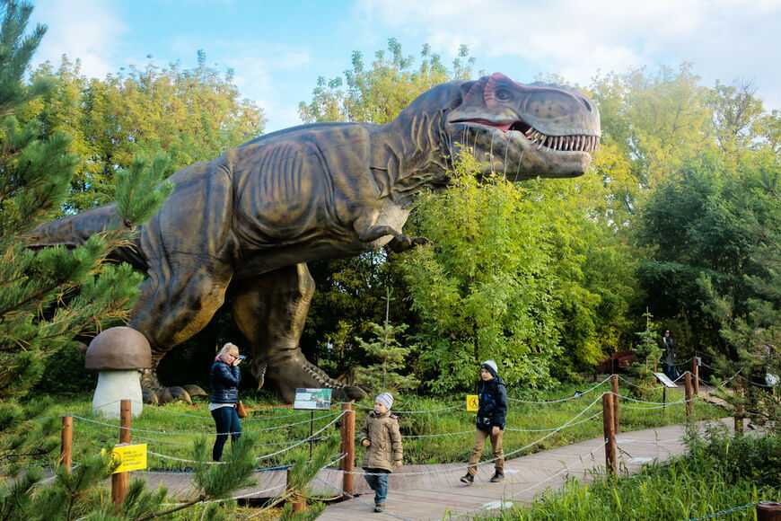 Узнай где находится Парк динозавров в Башкирии на карте России (С описанием и фотографиями). Парк динозавров в Башкирии со спутника