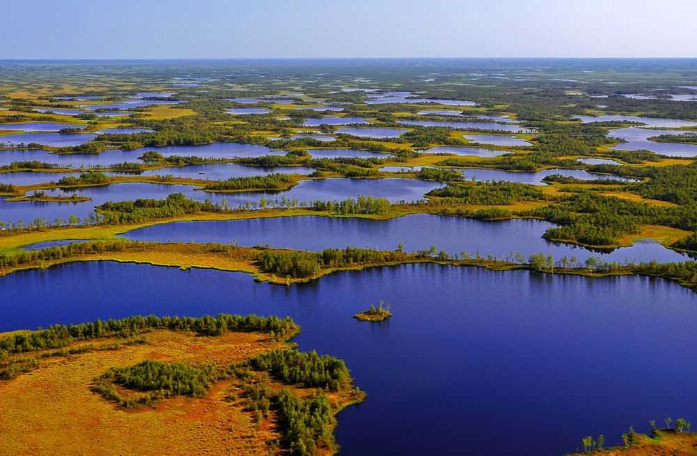 Васюганские болота западной сибири — интересный природный феномен