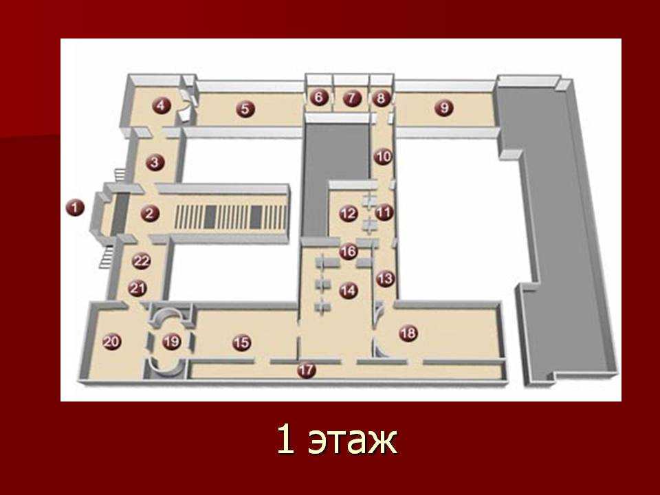 Государственный эрмитаж (зимний дворец) (санкт-петербург)